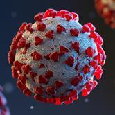Cover image for research topic "Community Series in Mental Illness, Culture, and Society: Dealing with the COVID-19 Pandemic, Volume IV"