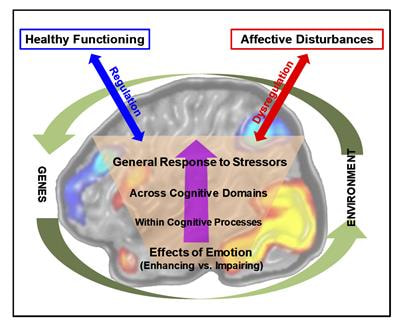 Cover image for research topic "Insights in Emotion Science"