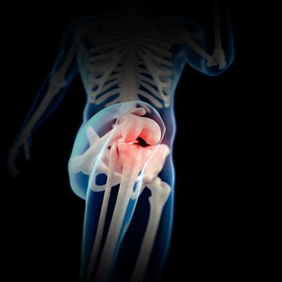 Cover image for research topic "Mechanisms and Models of Musculoskeletal Pain and Nonpharmacological Treatment Volume II"