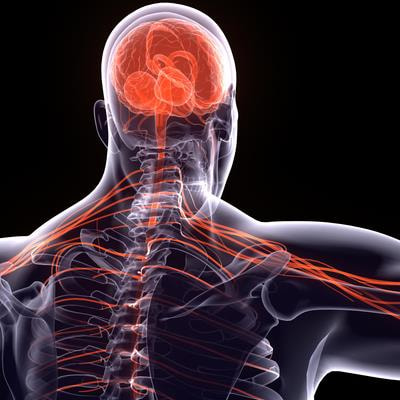 Cover image for research topic "Advances in Mobile Optical Brain Activity Monitoring"