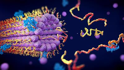 Cover image for research topic "Extremozymes: Characteristics, Structure, Protein Engineering and Applications"