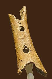 Cover image for research topic "The Evolution of Music"