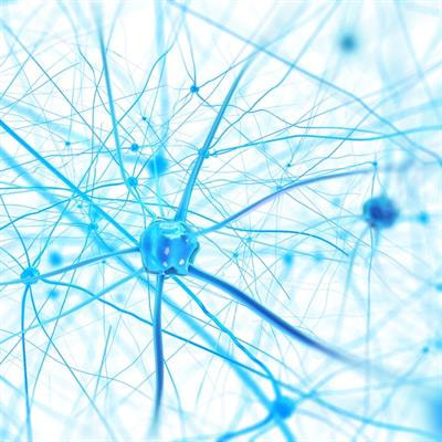 Cover image for research topic "OCT in Neurodegenerative Diseases"