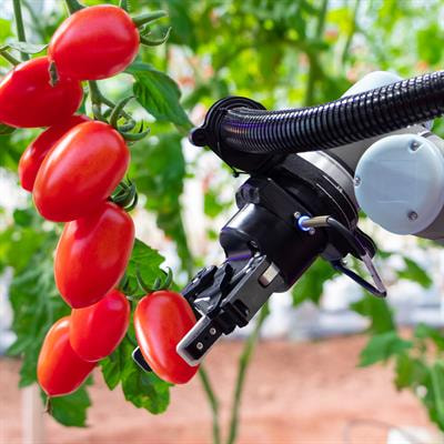 Cover image for research topic "Food Sustainability and Food Industry 4.0: Unveiling the Relationship"