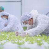 Cover image for research topic "Methods and Protocols in Regulatory Toxicology"