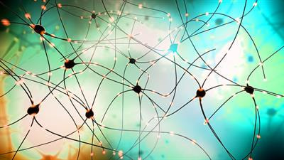 Cover image for research topic "New Players on the Monoaminergic Field: Relevance to the Mental Disorders"