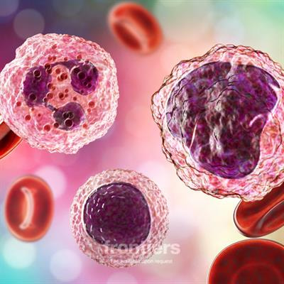 Cover image for research topic "Tumor Microenvironment and Hematological Malignancies: New Evidences and New Questions"