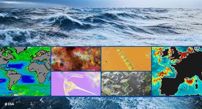 Cover image for research topic "Colour and Light in the Ocean"