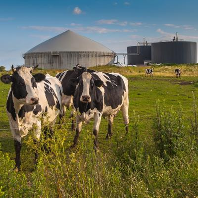 Cover image for research topic "Advanced and Innovative Livestock Waste Treatment Technologies for Agricultural Sustainability"