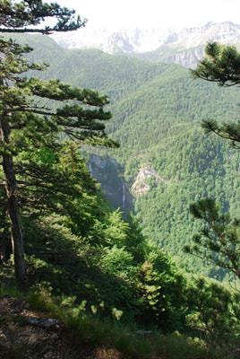 Cover image for research topic "Old-Growth Forests of Southeast Europe and their Relevance for Forest Management"