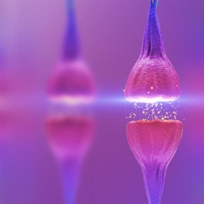 Cover image for research topic "Impact of Gut Microbiota on Neurogenesis and Neurological Diseases During Early Life"