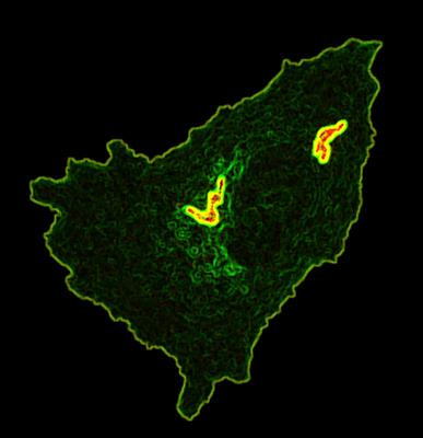 Cover image for research topic "Cell Biology of Salmonella"