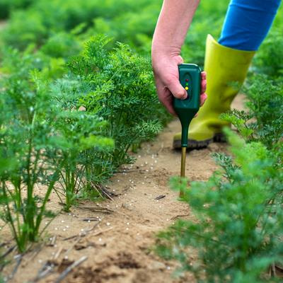 Cover image for research topic "Mechanisms and Practices for the Management of Plant-Soil Biota Interaction"
