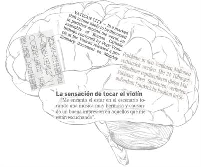 Cover image for research topic "(Pushing) the Limits of Neuroplasticity Induced by Adult Language Acquisition"