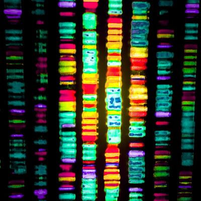 Cover image for research topic "Big Data – The Language and Future of One Medicine, One Science"