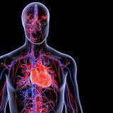 Cover image for research topic "Cardiovascular Complications of Emerging Oncological Therapies"