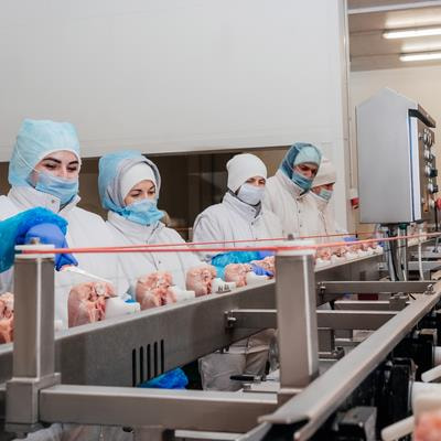 Cover image for research topic "How the Application of Antimicrobial Hurdles in Meat Processing Facilities Shapes Microbial Ecology"