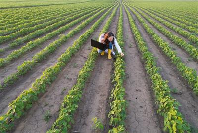 Cover image for research topic "Hazardous Pollutants in Agricultural Soil and Environment"