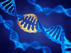 Cover image for research topic "The Links Between Microbe, Metabolism, Microenvironment, and Cancer"
