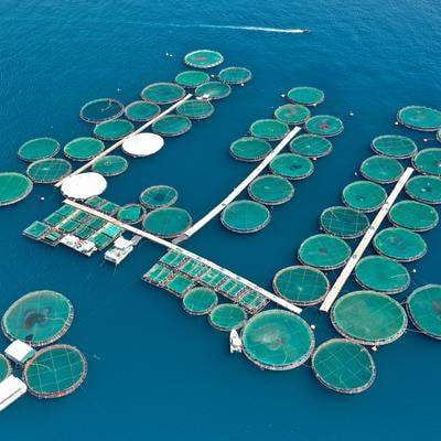 Cover image for research topic "Sustainable Finance for the Blue Economy"
