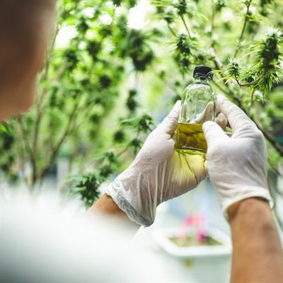 Cover image for research topic "Extracts From Plants and Other Natural Sources: Application, Characterization, Optimization, and Their Use"