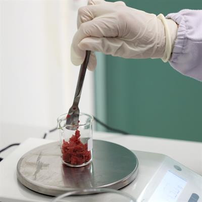 Cover image for research topic "Novel Trends in Cultured Meat Research"