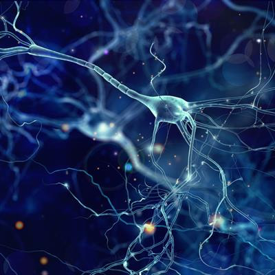 Cover image for research topic "Glial Crosstalk in Neurological Disorders"