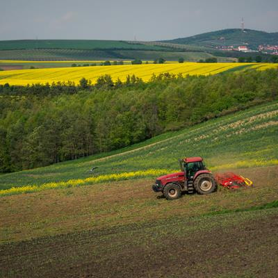 Cover image for research topic "Optimizing Natural Features and BMPs in Agroecosystems Through a One-Health Approach"