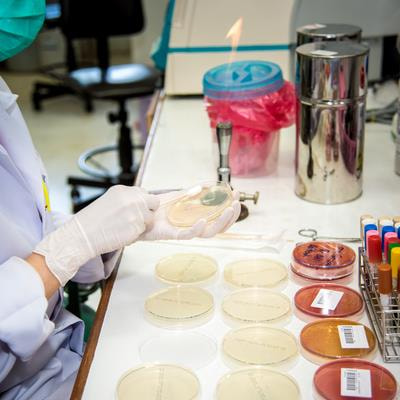 Cover image for research topic "Women in Antimicrobials, Resistance and Chemotherapy: 2023"