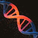 Cover image for research topic "Examining Genetic and Epigenetic Regulation in Cardiovascular Development, Regeneration and Disease"
