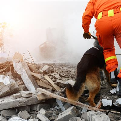 Cover image for research topic "Maintaining Health, Safety and Cognitive Function Under Challenging Environmental and Working Conditions"