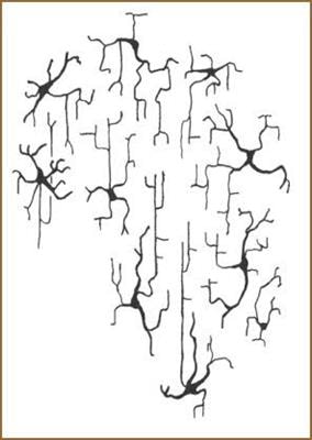 Cover image for research topic "Neuroscience in Africa"
