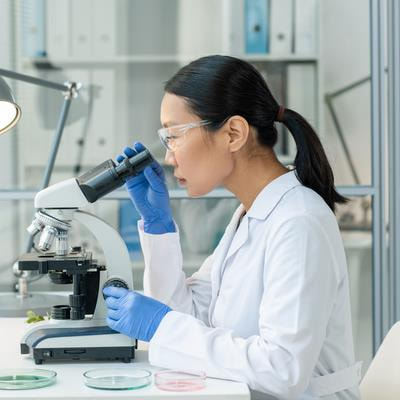 Cover image for research topic "Women in Microorganisms in Vertebrate Digestive Systems: 2023"