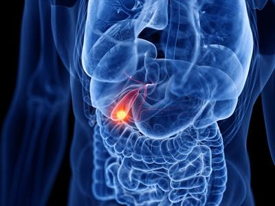 Cover image for research topic "Advances in Immunotherapy and Combination Therapy for Biliary Tract Cancers"