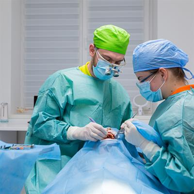 Cover image for research topic "Insights in Oral Cancers: 2023"