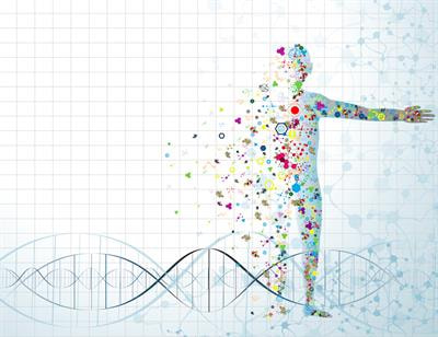 Cover image for research topic "Translating Systems Medicine into Clinical Practice: Examples from Pulmonary Medicine with Genetic Disorders, Infections, Inflammations, Cancer Genesis and Treatment"