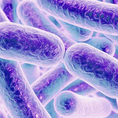 Cover image for research topic "Nontuberculous Mycobacterial Infections in Animals And Humans: Pathogenesis, Diagnosis, Prevention, Treatment, And Epidemiology"