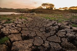 Cover image for research topic "Application of Artificial Intelligence-Supported Process-Based Climate Models to Understand the Atmosphere/Weather Patterns and Their Prediction"
