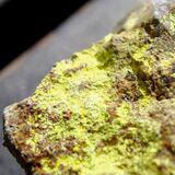 Cover image for research topic "Structures and Properties of Fluorite-related Systems for Nuclear Applications"
