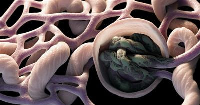 Cover image for research topic "Debates in Experimental Pharmacology and Drug Discovery 2023: Innovative Approaches to Chronic Kidney Disease Drug Discovery, Identification of Targets and Safety Assessment"