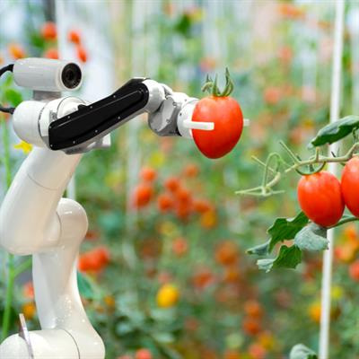 Cover image for research topic "Vision, Learning, and Robotics: AI for Plants in the 2020s"
