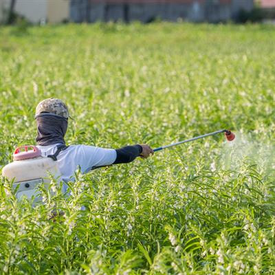 Cover image for research topic "Foliar Nutrient Analysis in Crop
Species: Successes, Opportunities and Challenges"