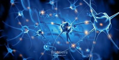 Cover image for research topic "Reviews in Cellular Neuropathology 2023: Cerebral Ischemia"