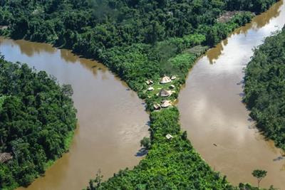 Cover image for research topic "Neglected and Rare Diseases in the Amazon"