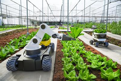 Cover image for research topic "Artificial Intelligence and Internet of Things for Smart Agriculture"
