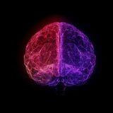Cover image for research topic "Explicit and Implicit Emotion Processing: Neural Basis, Perceptual and Cognitive Mechanisms-Volume II"