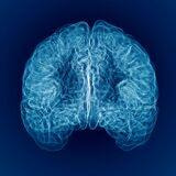 Cover image for research topic "Beyond the speech motor disorders in Parkinson’s disease: mechanisms, neural substrates, and potential therapeutic interventions"