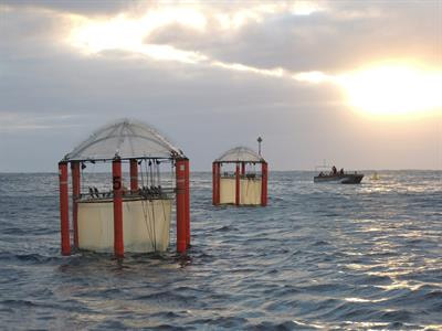 Cover image for research topic "Impacts of CO2 Perturbation on the Ecology and Biogeochemistry of Plankton Communities During a Simulated Upwelling Event: A Mesocosm Experiment in Oligotrophic Subtropical Waters"