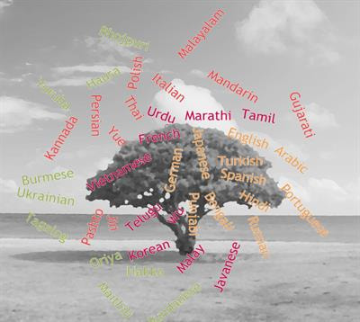 Cover image for research topic "The Adaptive Value of Languages: Non-Linguistic Causes of Language Diversity"