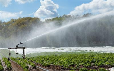 Cover image for research topic "Quality of Water Used for Irrigation Purposes"